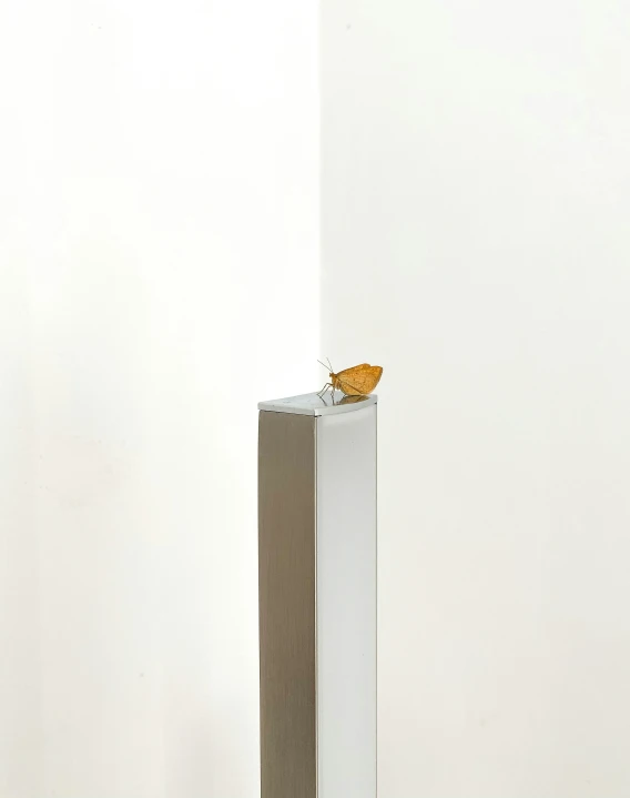 a square white pedestal with a yellow bird sitting on top