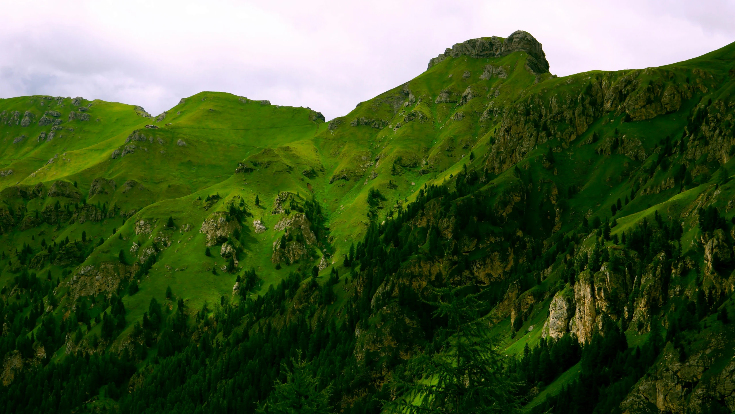 a mountain with green grass growing in it