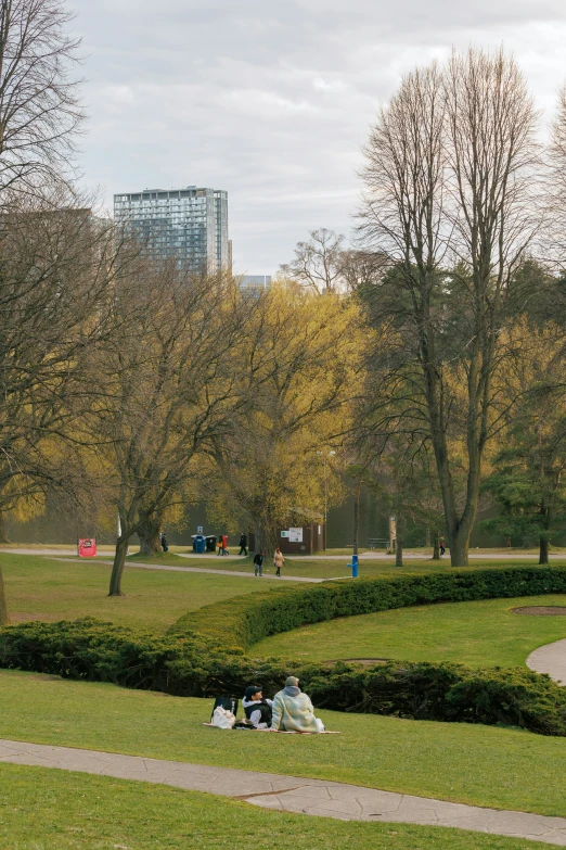 people sit in the park near the green grass