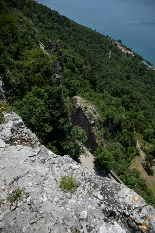 there is an image of a cliff with lots of trees