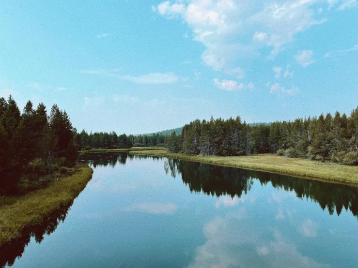 a large body of water surrounded by trees