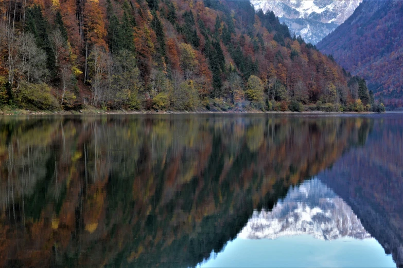 a body of water surrounded by lots of green and yellow trees