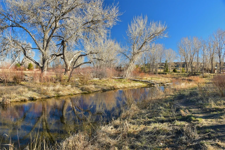 a river near a grassy area with trees