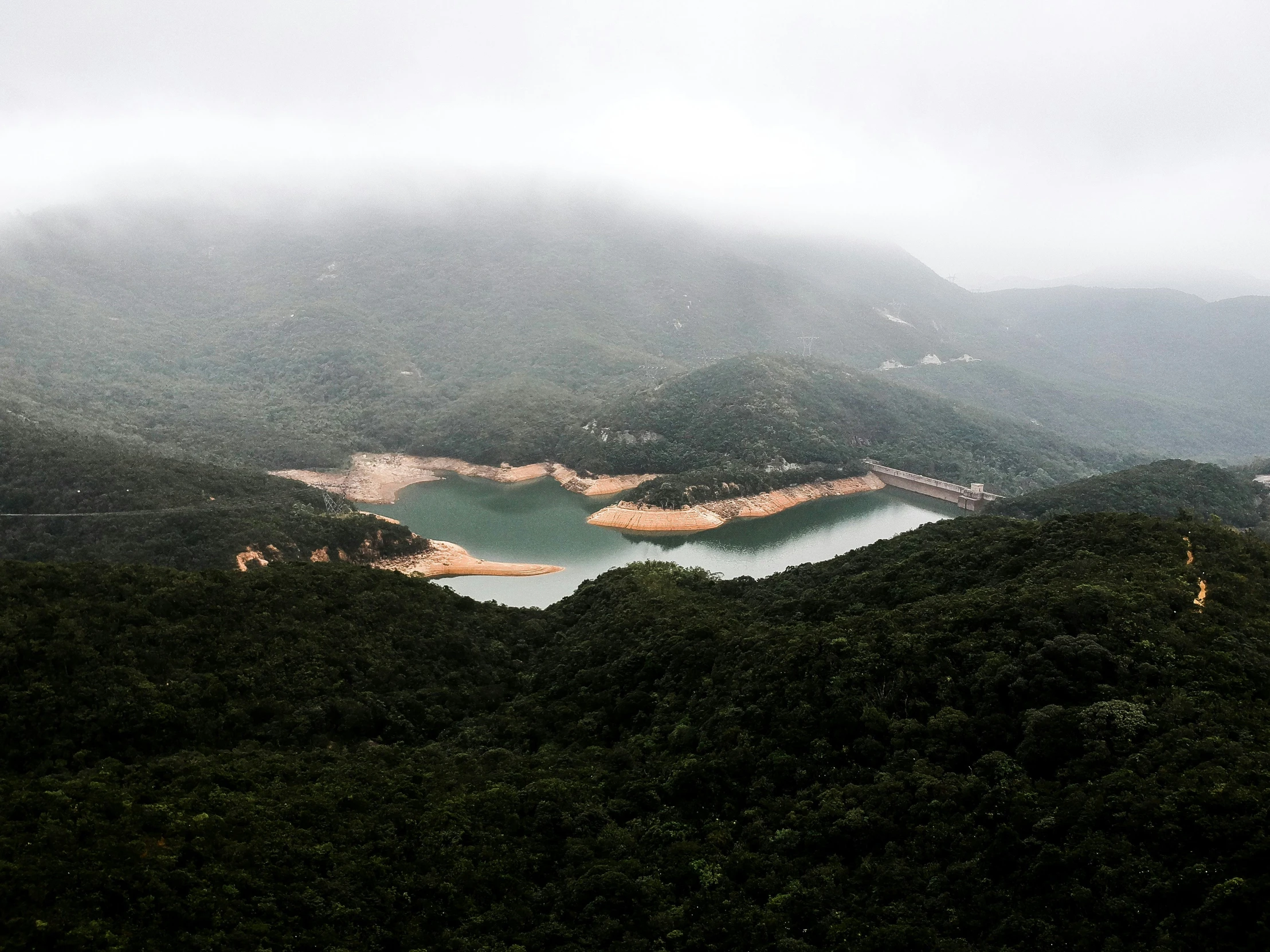 there is a lake in the middle of the forest