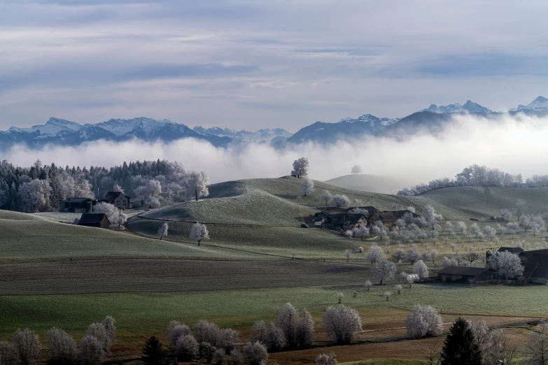 the view of a hill top in the winter