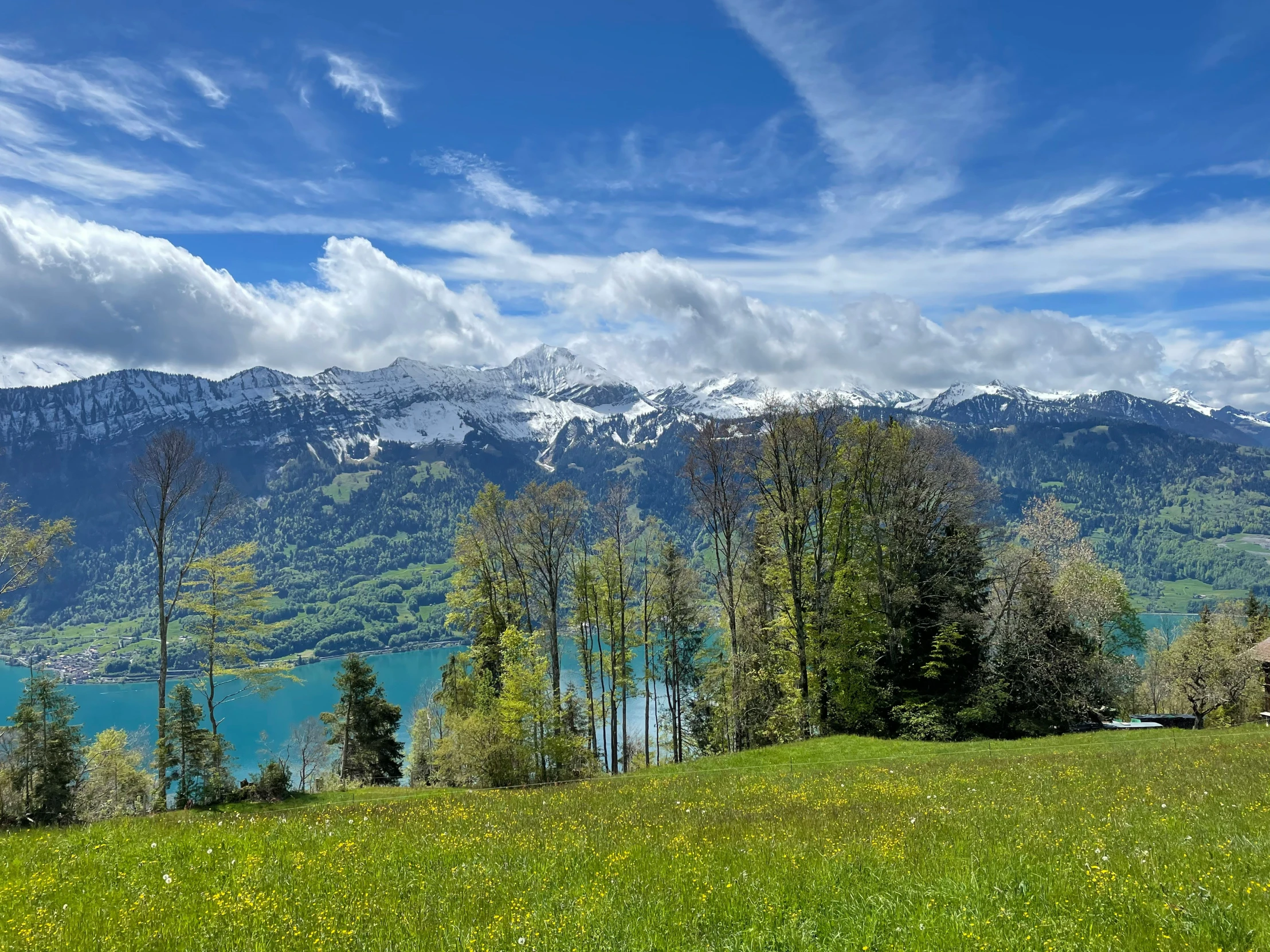 the grass is green in color with mountains on the far side