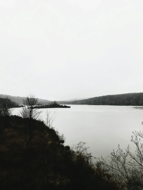 a body of water with a tree lined shore