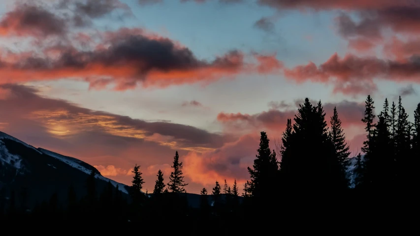 a mountain covered in trees as the sun goes down