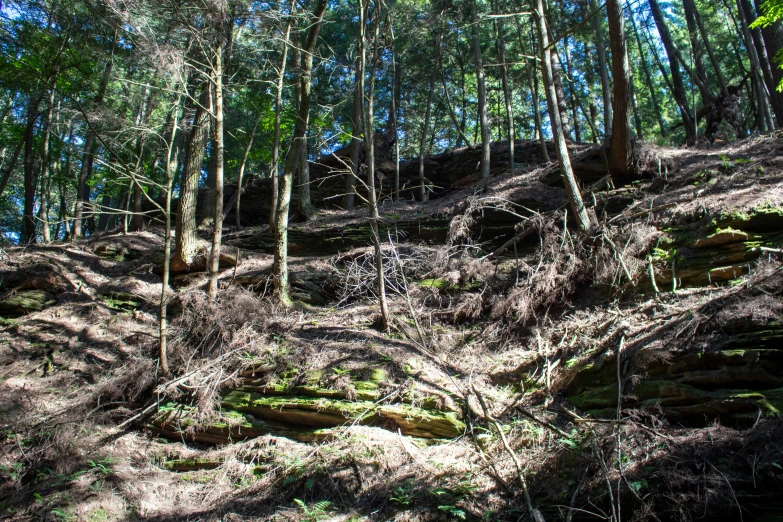 a dirt hill with large rocks on top of it