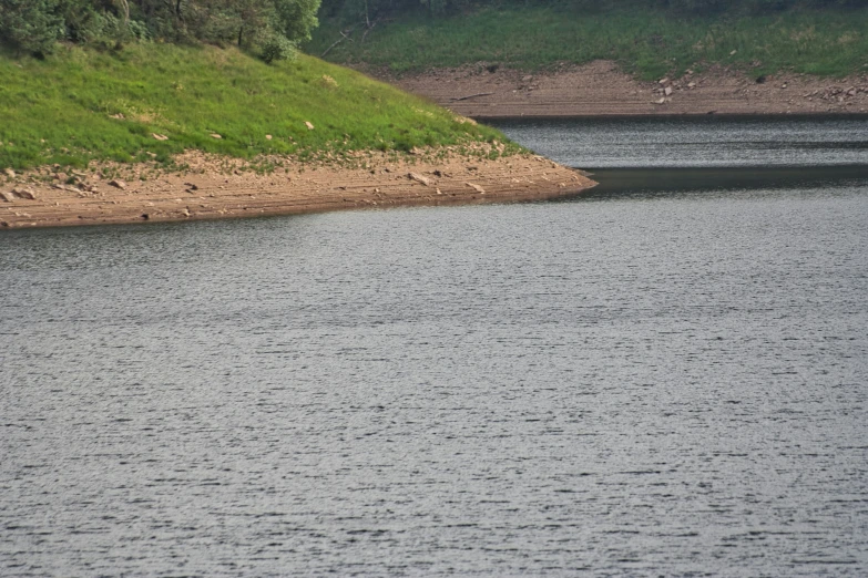 two cows sitting near the edge of a lake