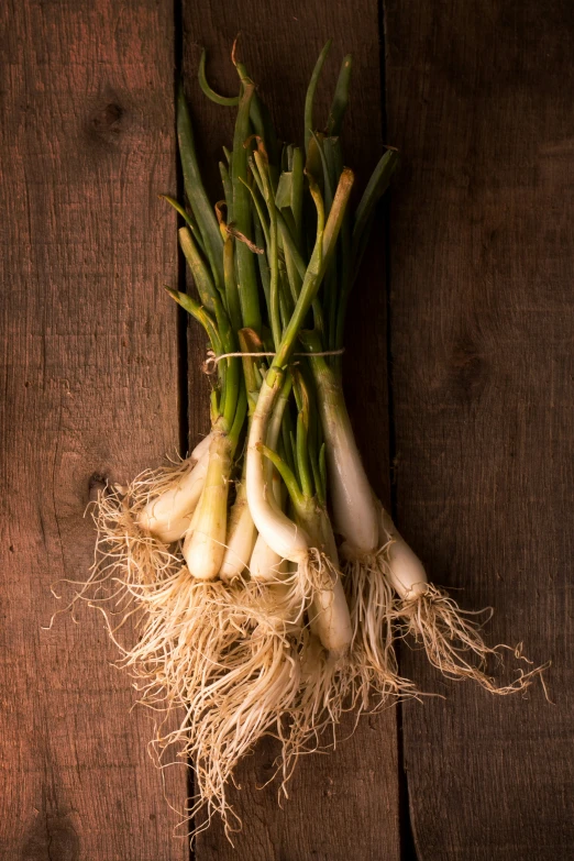 a bunch of green and white onions with root damage