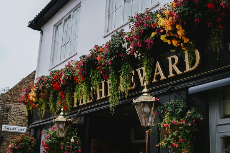 some flowers that are on a building