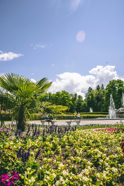 the flowers grow in a flower garden with fountains in the background