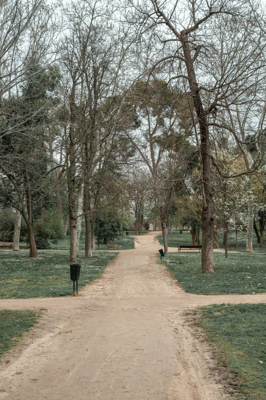 a dirt path in the middle of some trees