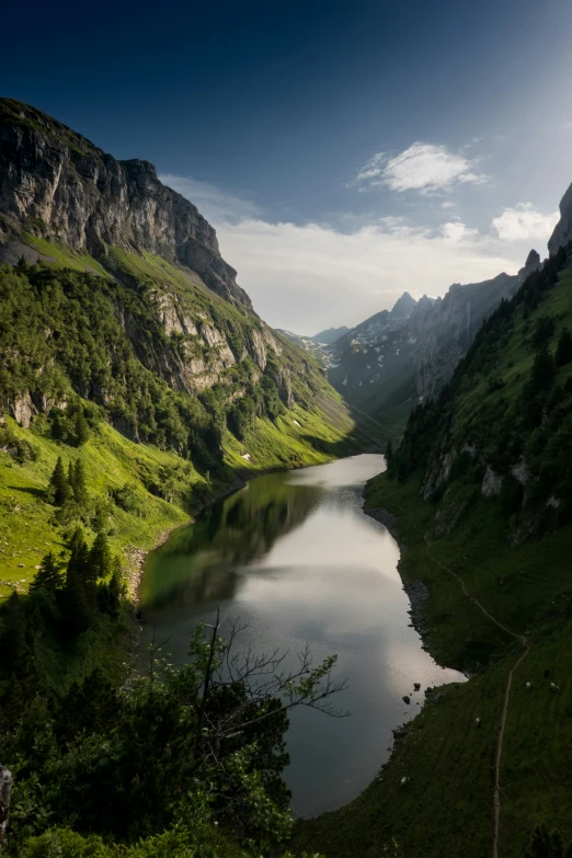 a large body of water surrounded by grass