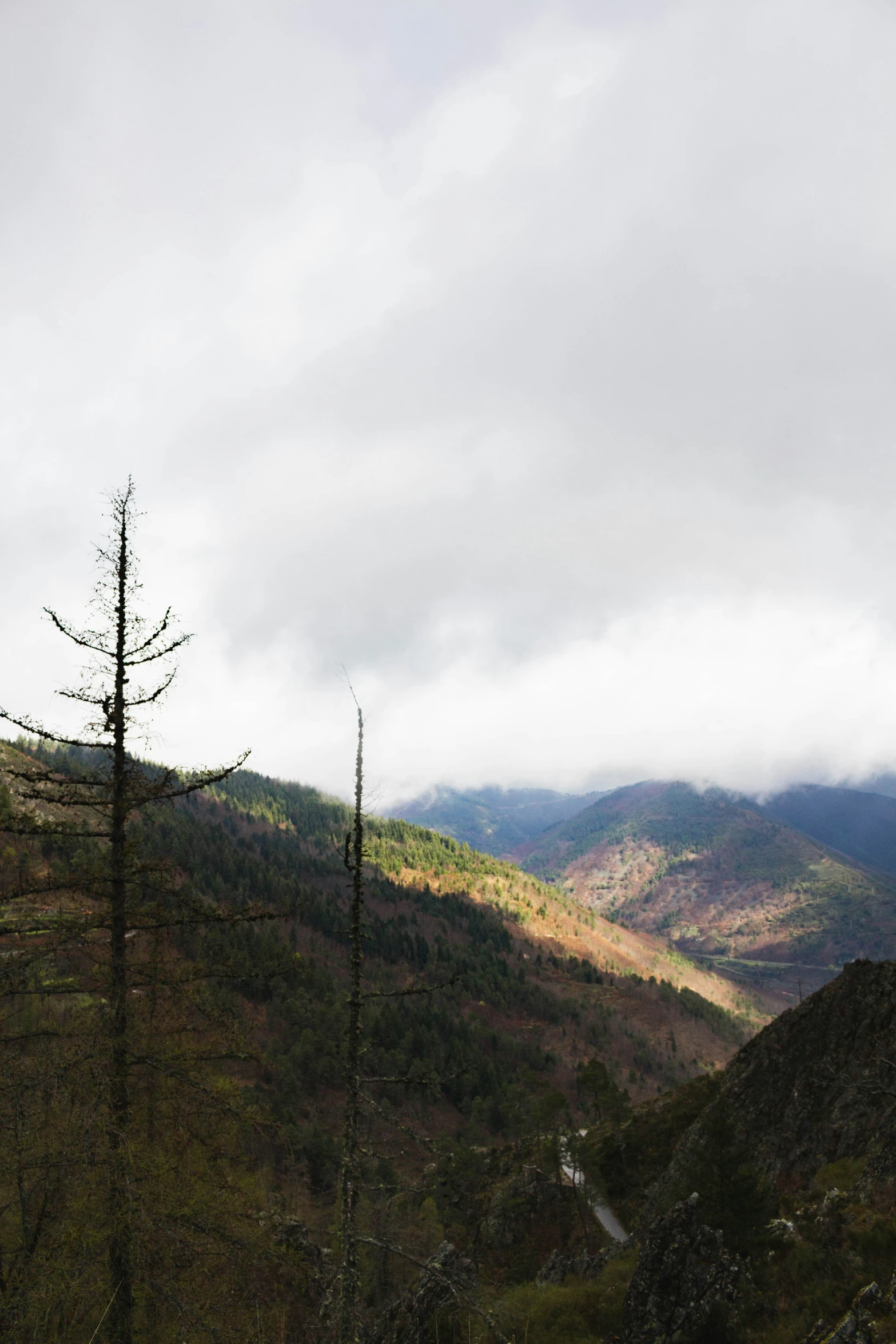 a view looking down on a valley in the mountains