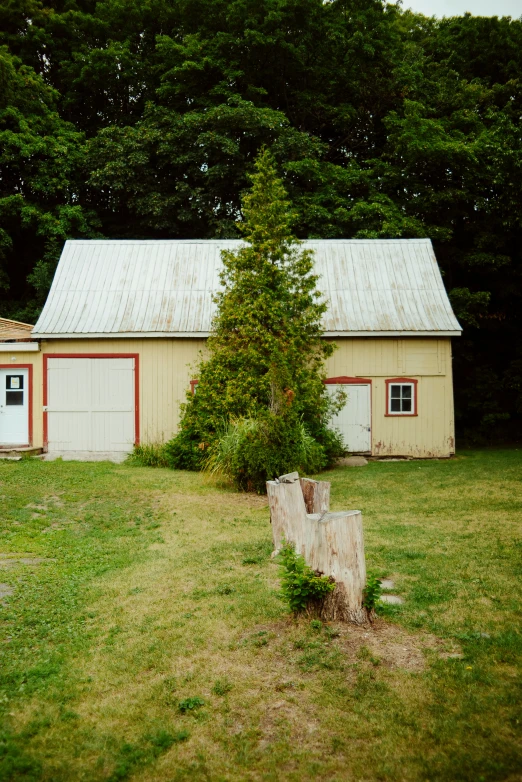 a log out in the yard with a shed next to it