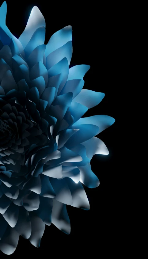 a very pretty blue flower on a black background