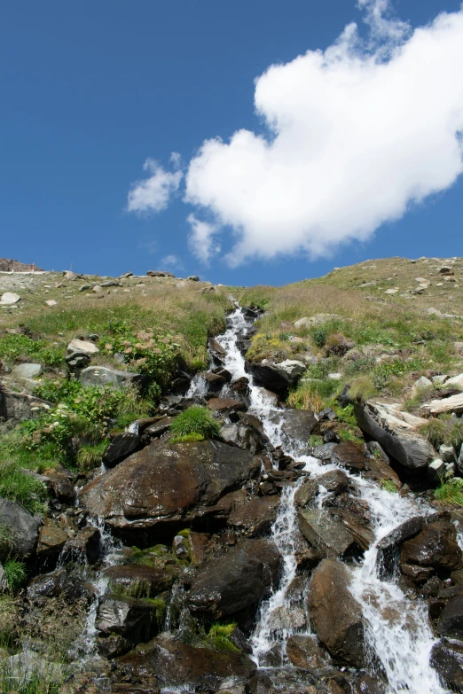 a stream in the middle of an open field