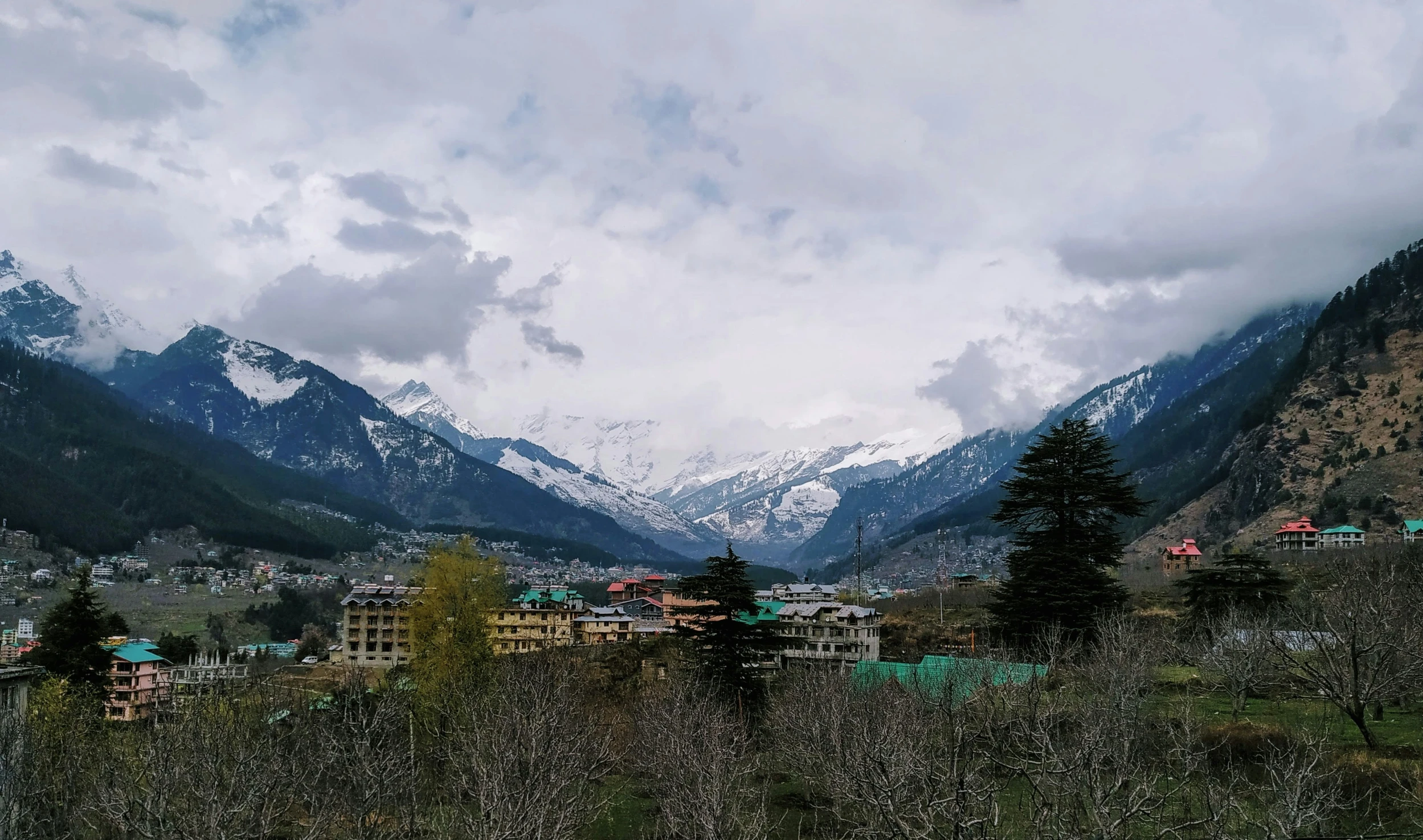 a view of the mountains with trees in front