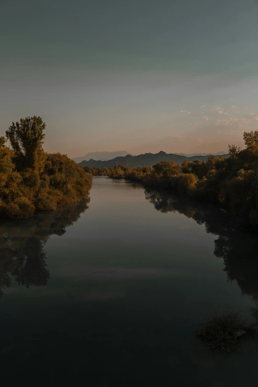 a body of water next to a lush green forest