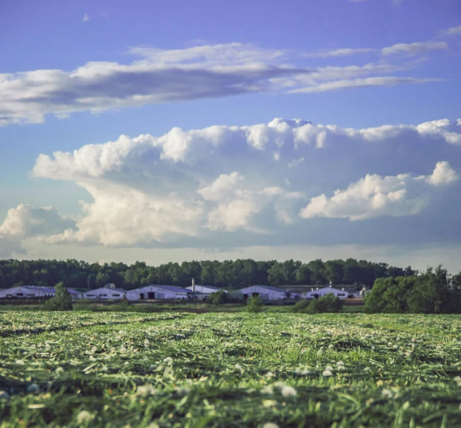 an empty field under cloudy skies with buildings