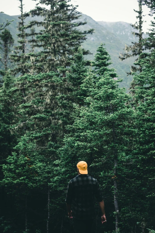 a person wearing a hat is standing in a field