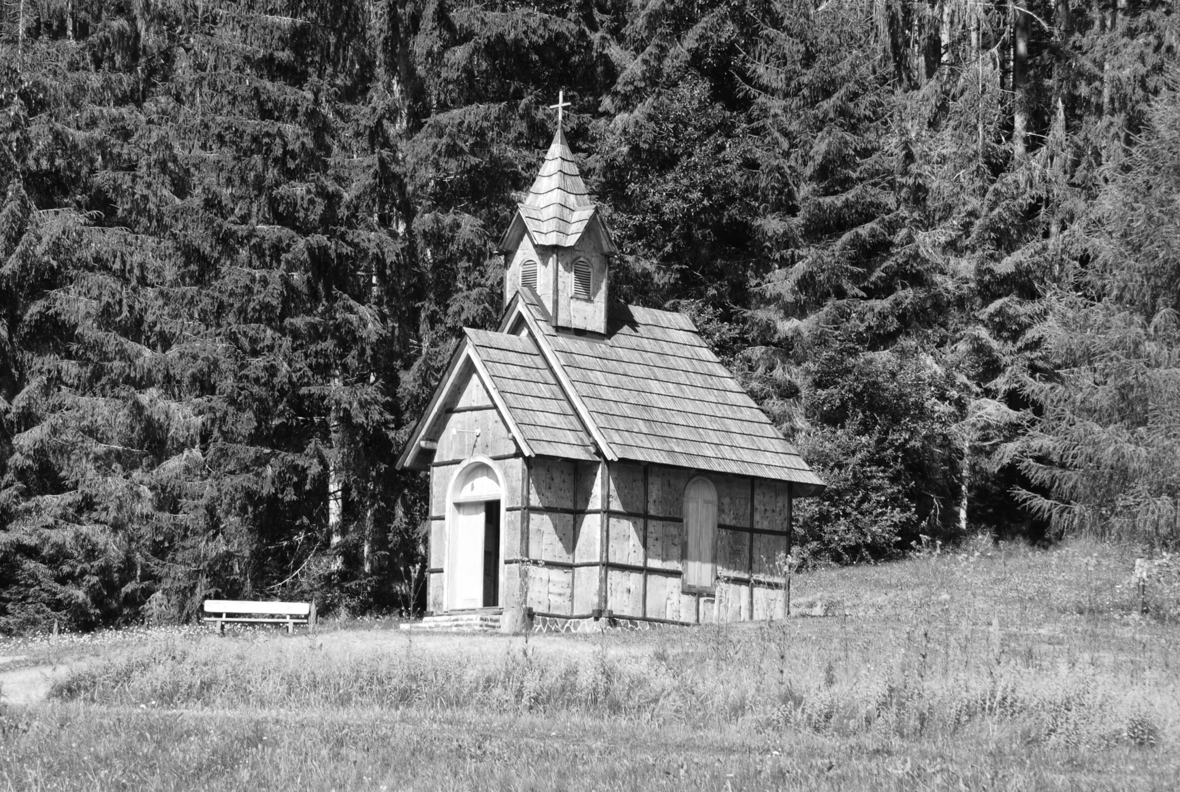 a small church with a steeple in the forest