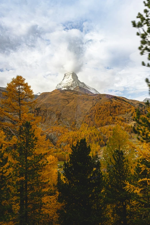 a mountain covered in fall leaves with some trees around it