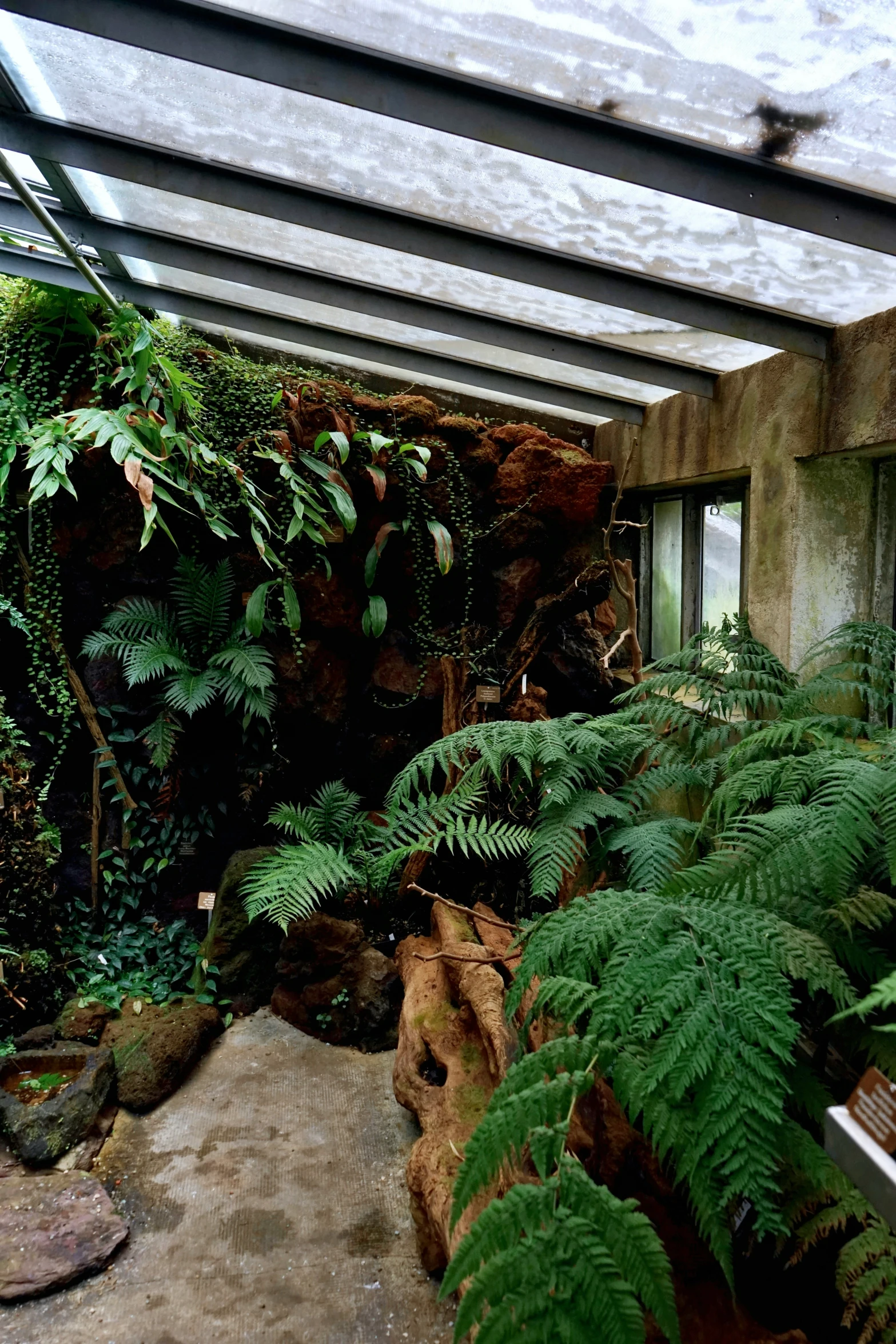 a room full of trees and bushes inside a building