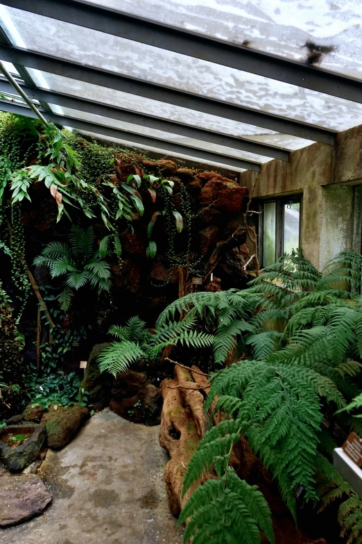 a room full of trees and bushes inside a building