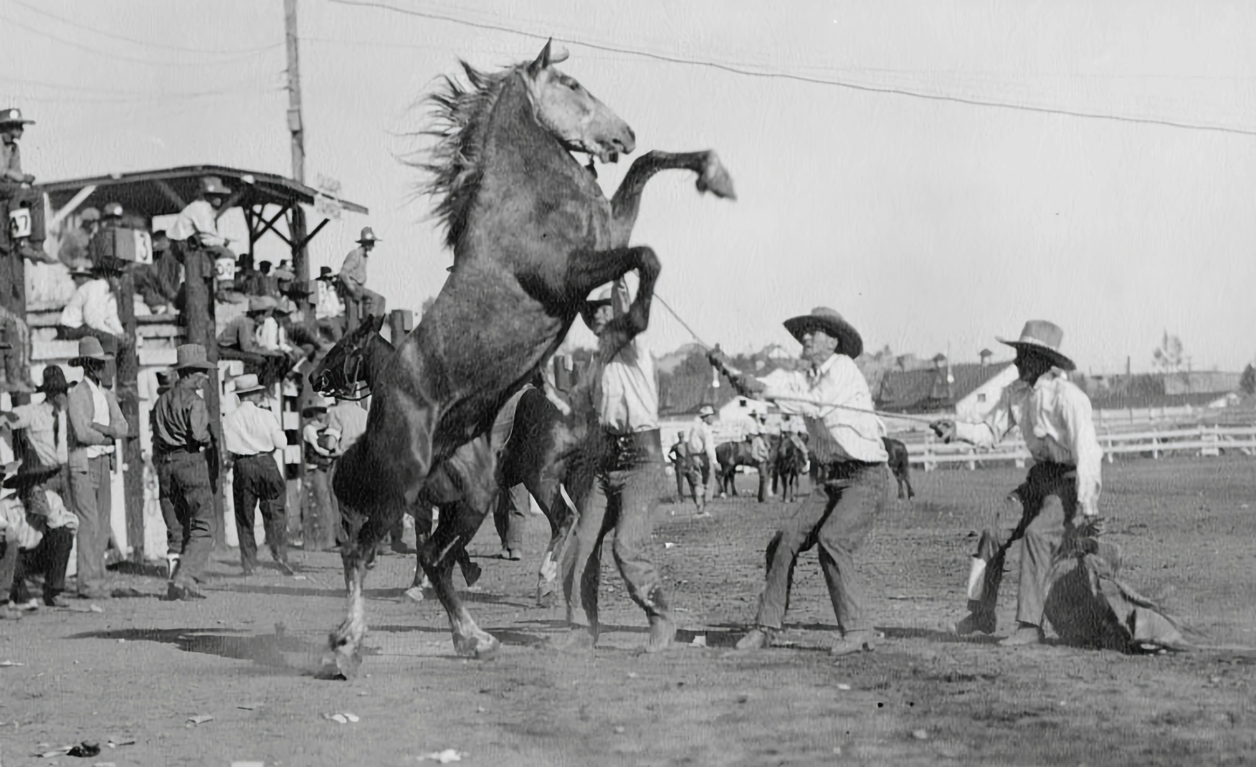 men on horses being thrown off by some other people