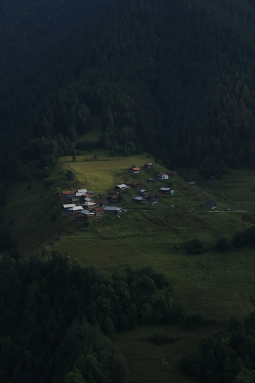 a group of homes are nestled on a hillside