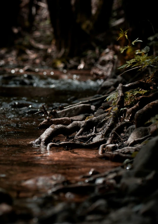 the water is flowing over the rocks next to the river