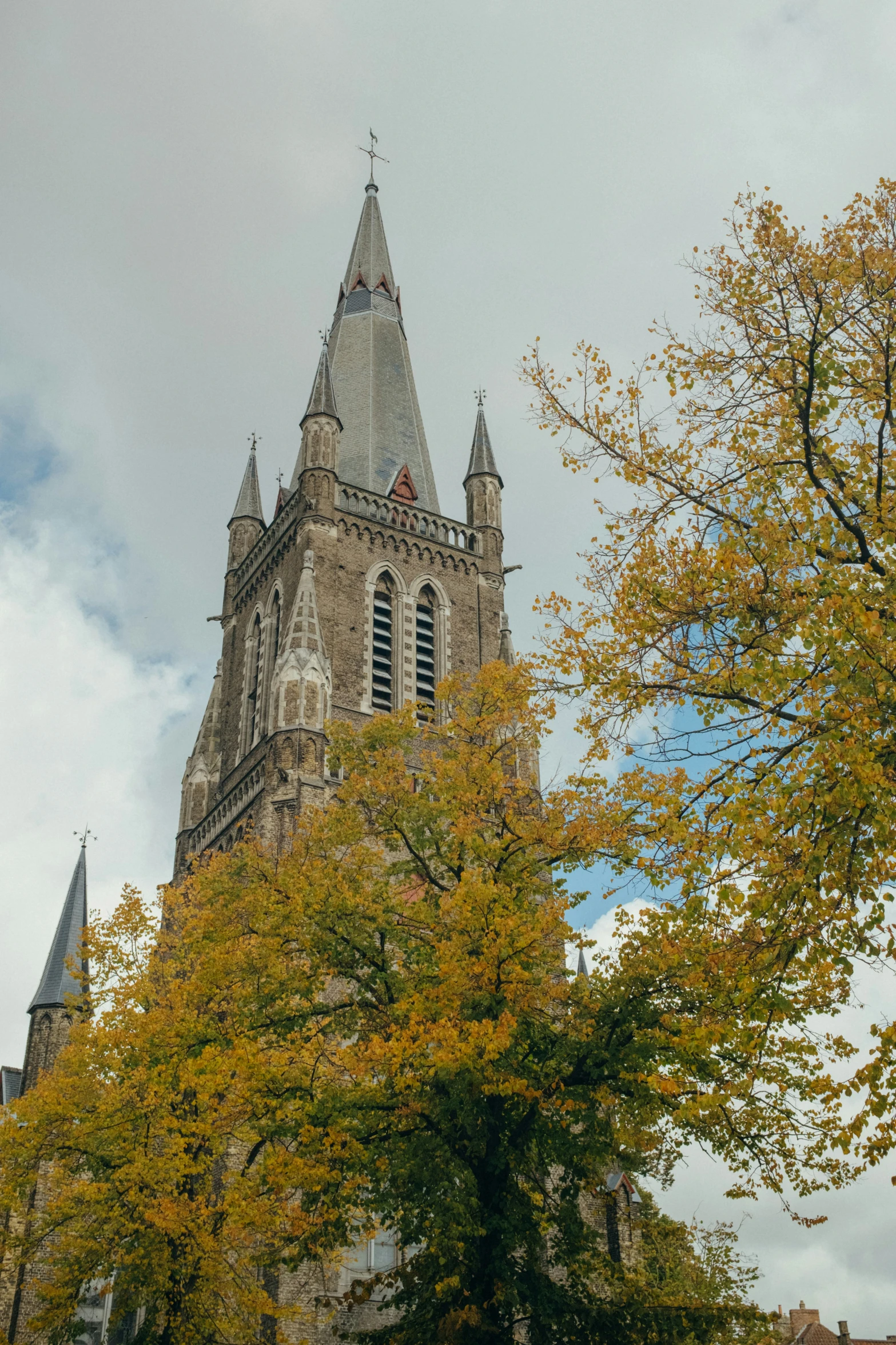 a clock tower in autumn has leaves turning from the ground