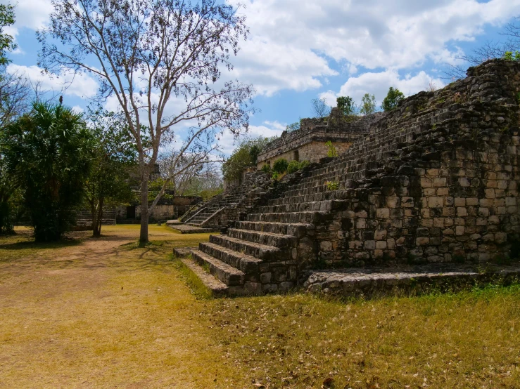 a couple of stone stairs on top of grass