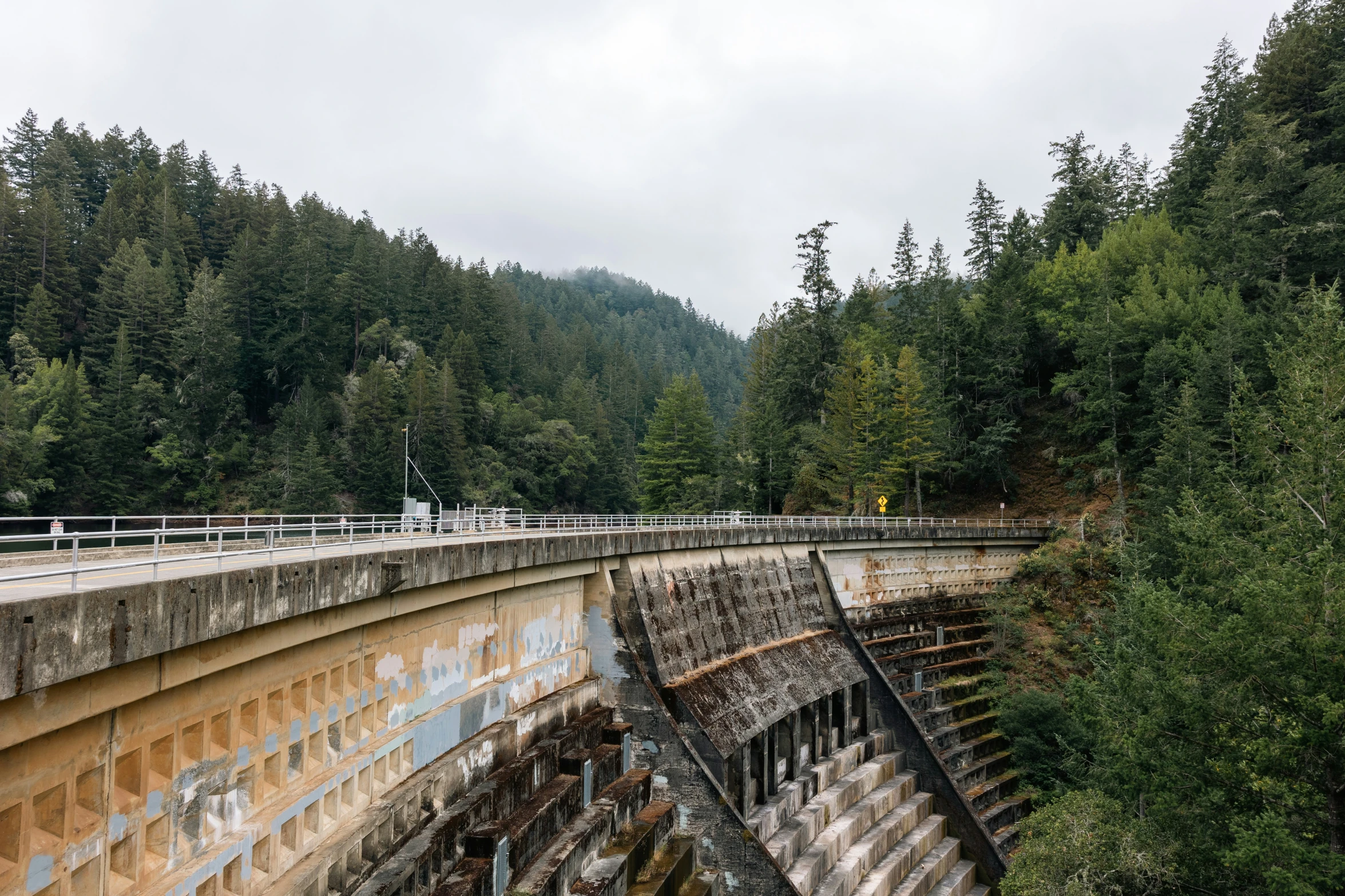 people walking on the side of a dam over looking a forest