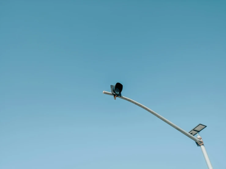 a bird is perched on top of the street light pole