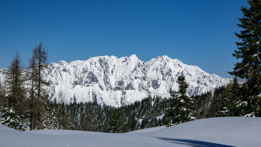 a snow covered mountain with trees on the side