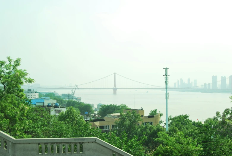 bridge and street lights over a green cityscape