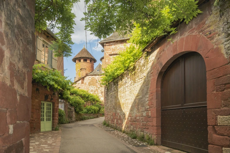 an alley in a historic village with plants growing over