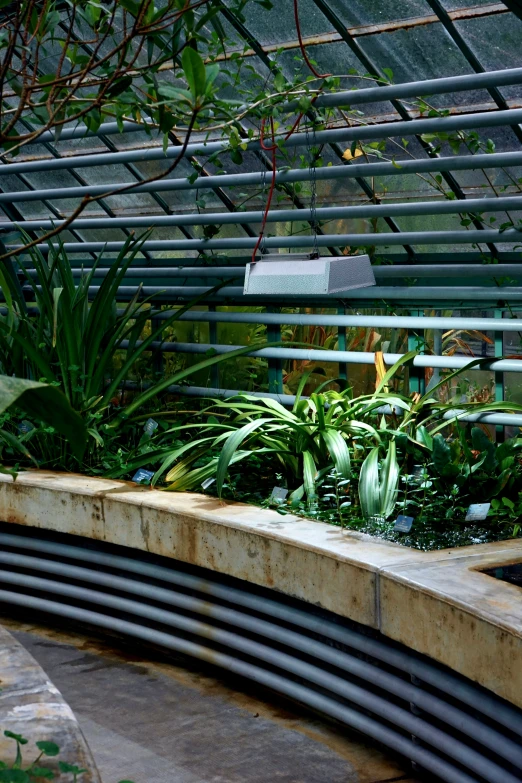 a bench with some plants in a small enclosure