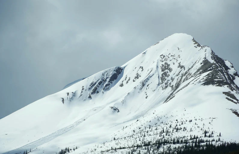 a tall snow covered mountain with very few trees on top