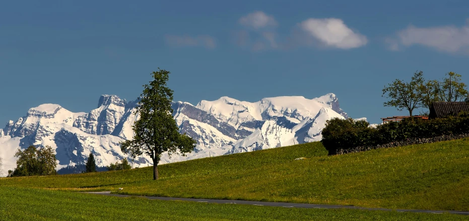 a grassy field in front of snowy mountain range