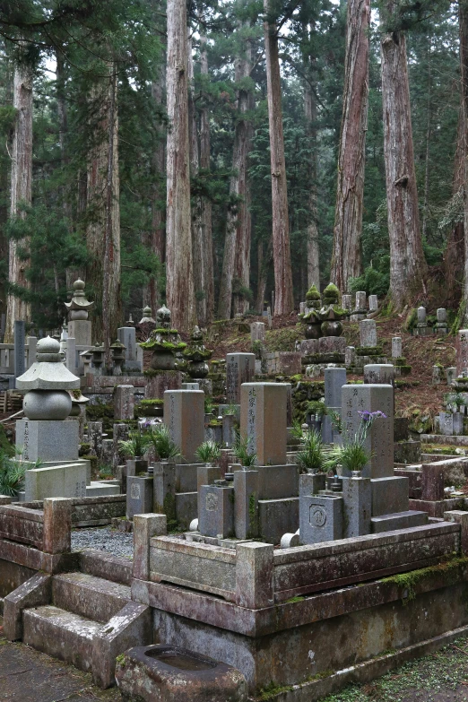 a group of old tombstones sit among some trees