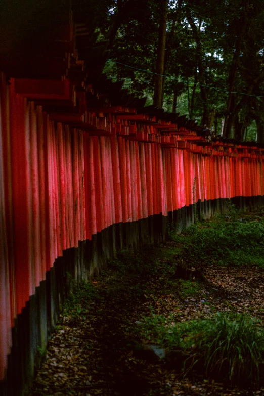 many red lights are lit up over an area that's lined with red fencing