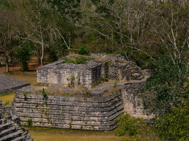 ruins with vegetation on top of them in a jungle