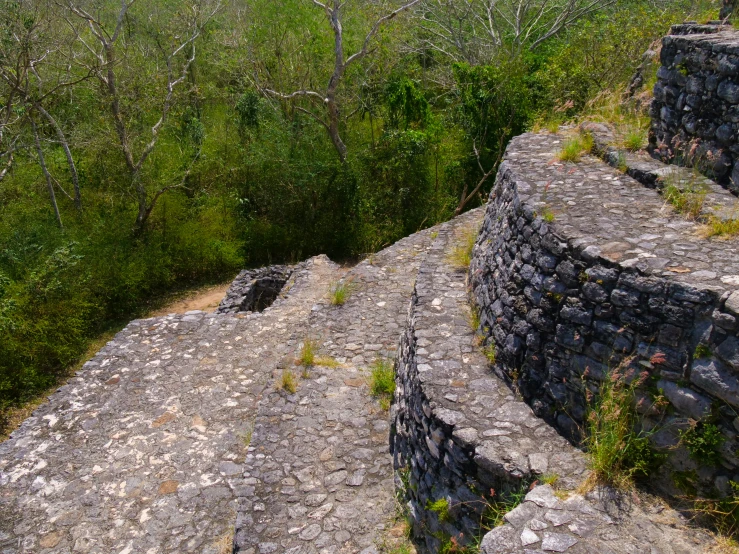 an image of an outside scene with rock and trees