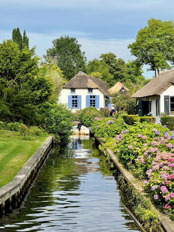 a beautiful garden and house sitting in the background