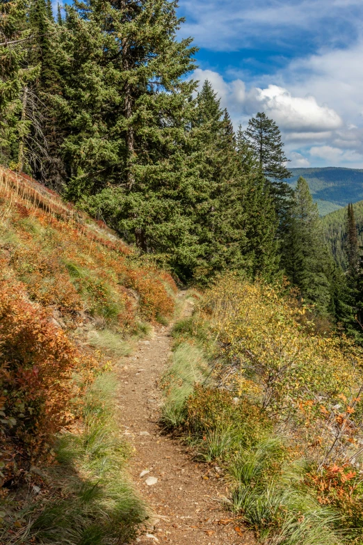 a trail that leads to a steep cliff on a hill